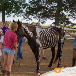 Meet your Posher, Sara